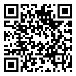 约会打赌--猜硬币